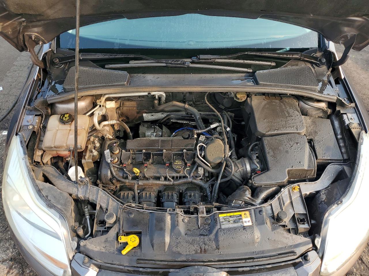 2014 FORD FOCUS