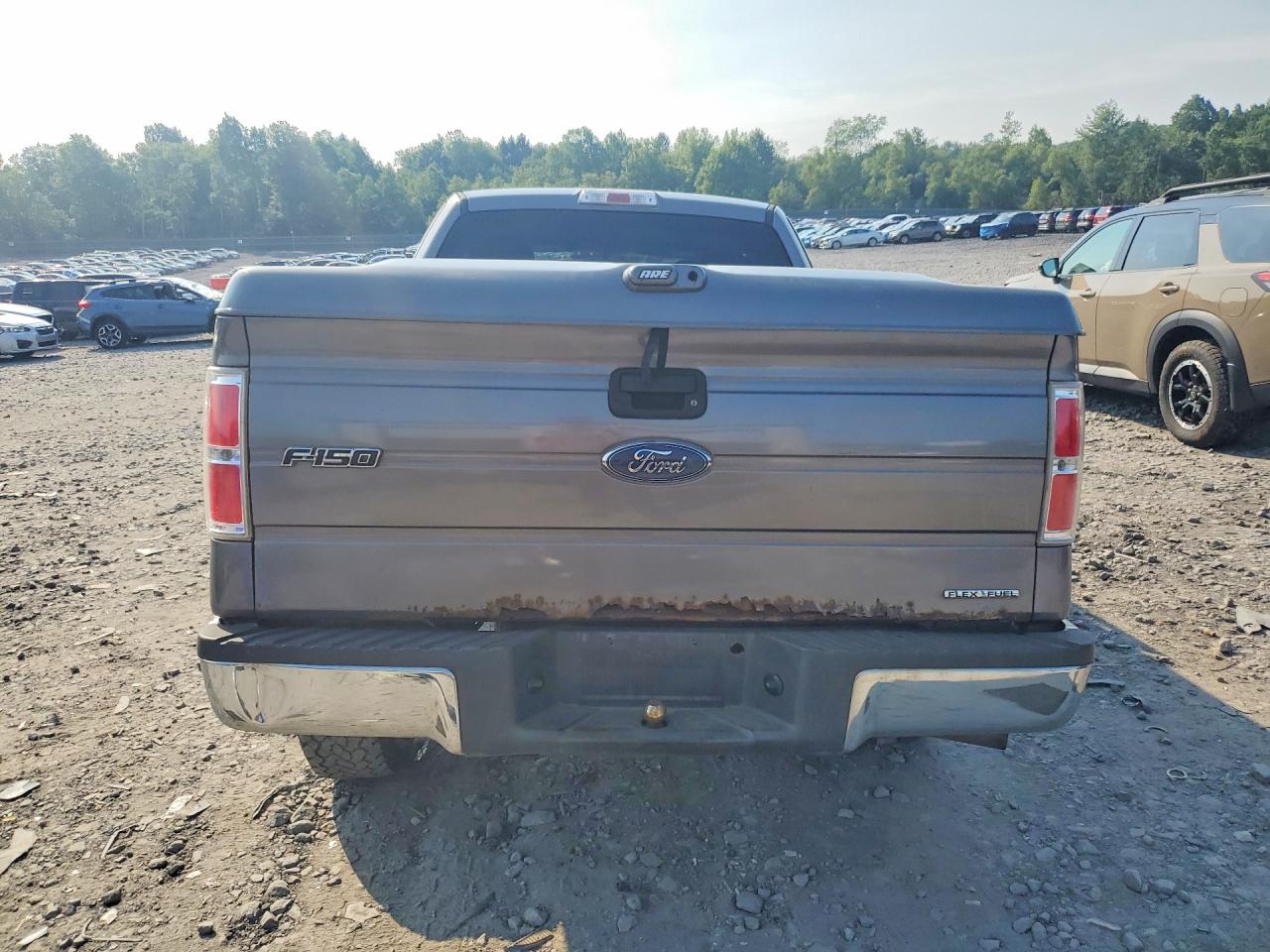 2014 FORD F-150