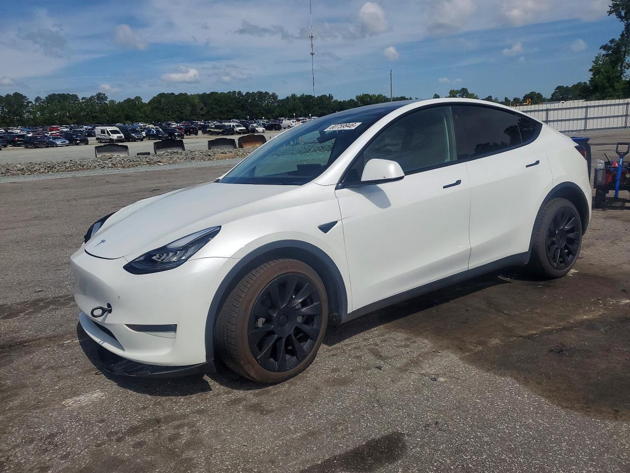 2021 TESLA MODEL Y