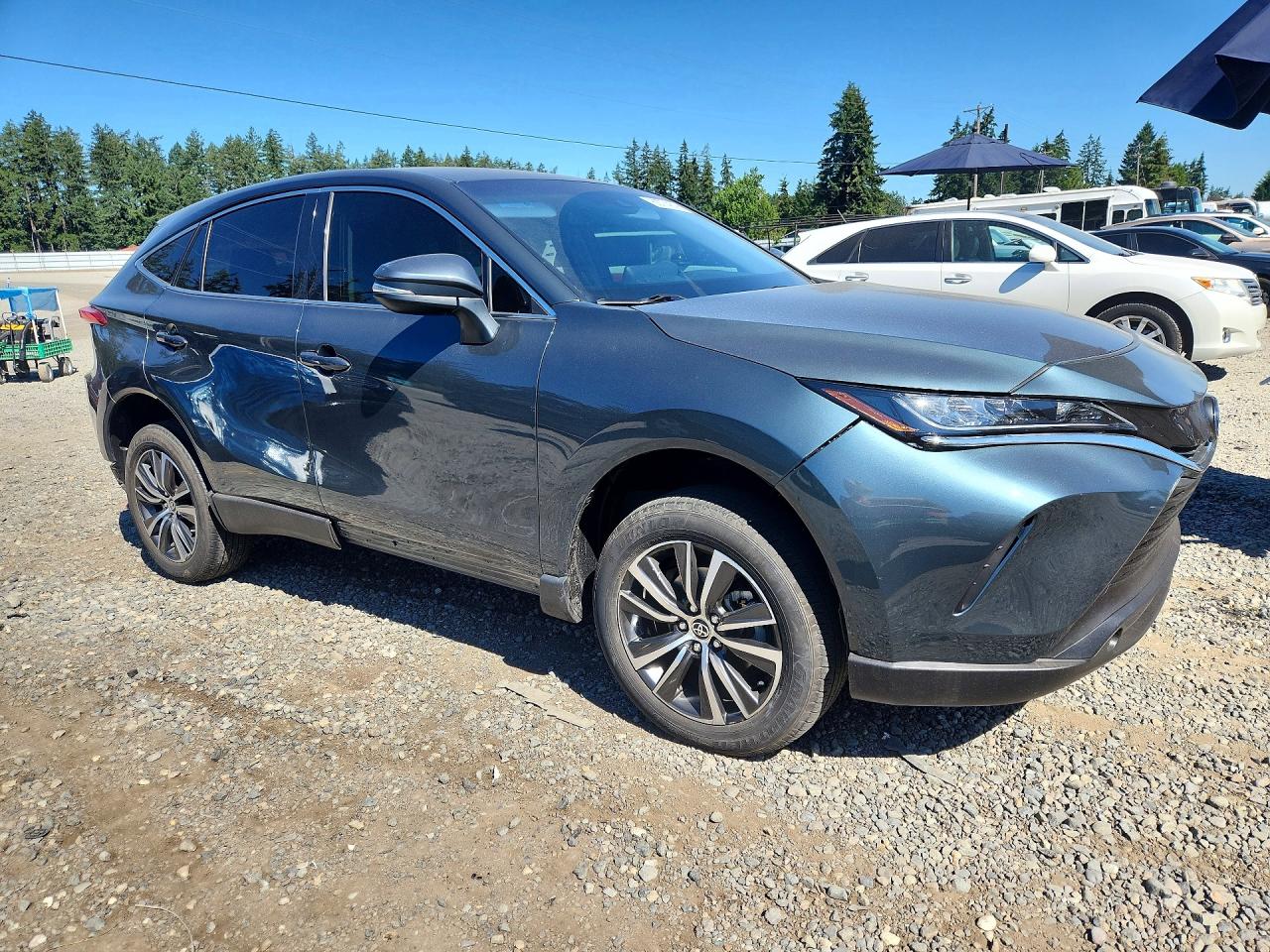 2022 TOYOTA VENZA