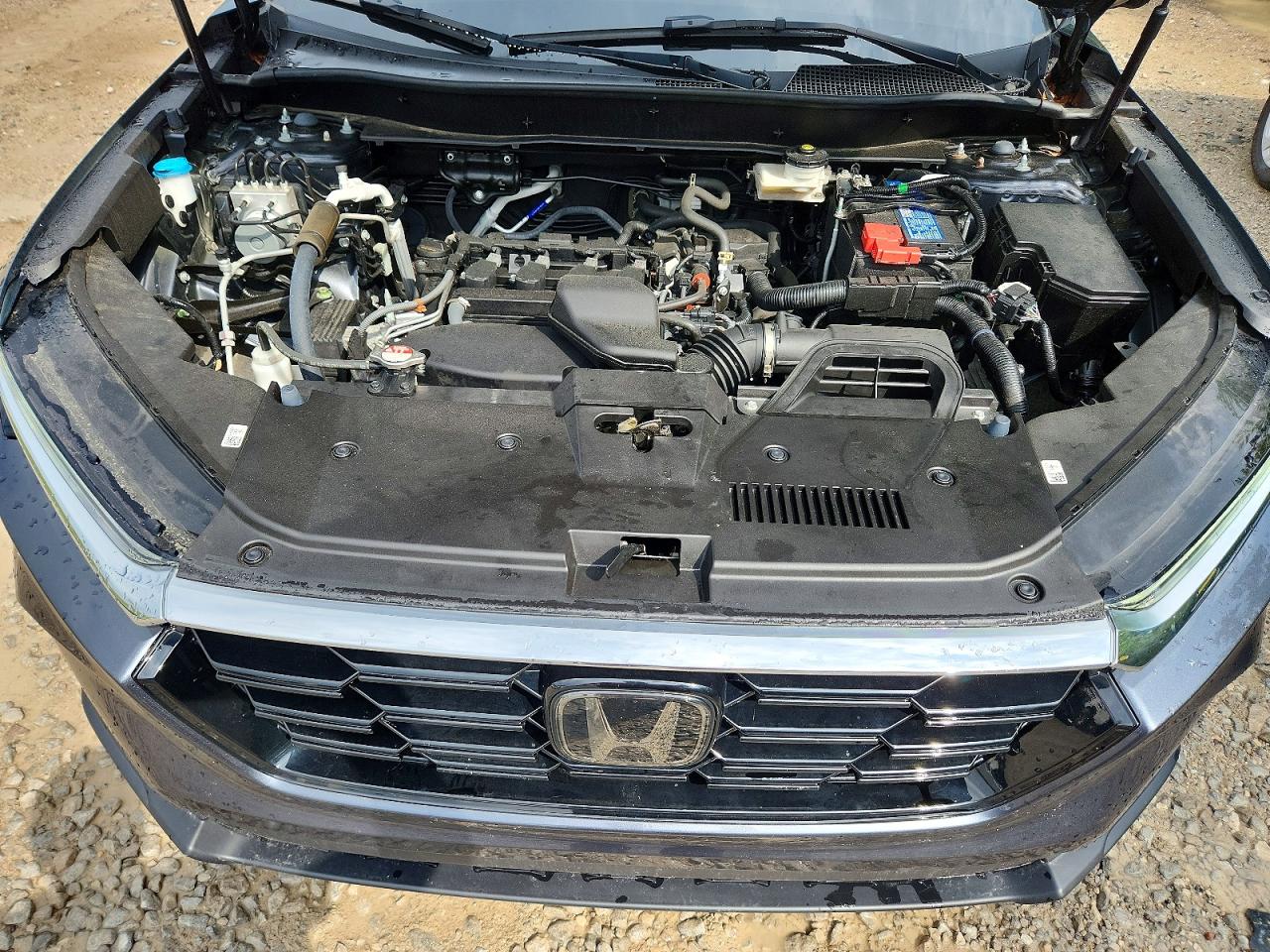 2024 HONDA CRV