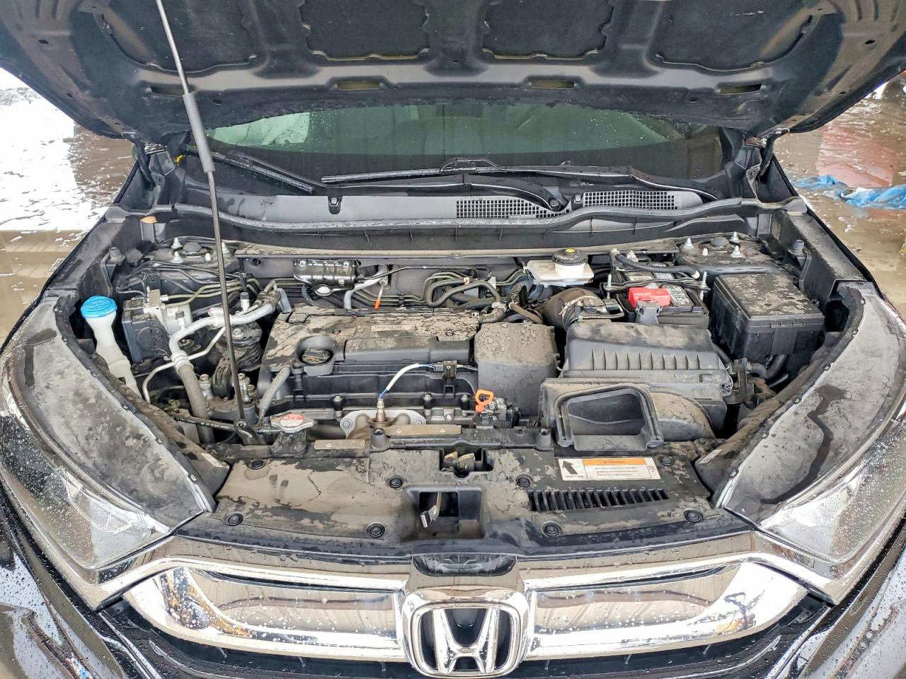 2019 HONDA CRV