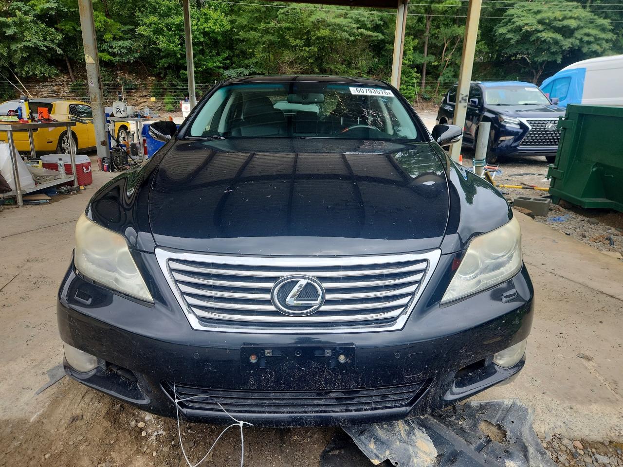 2010 LEXUS LS460