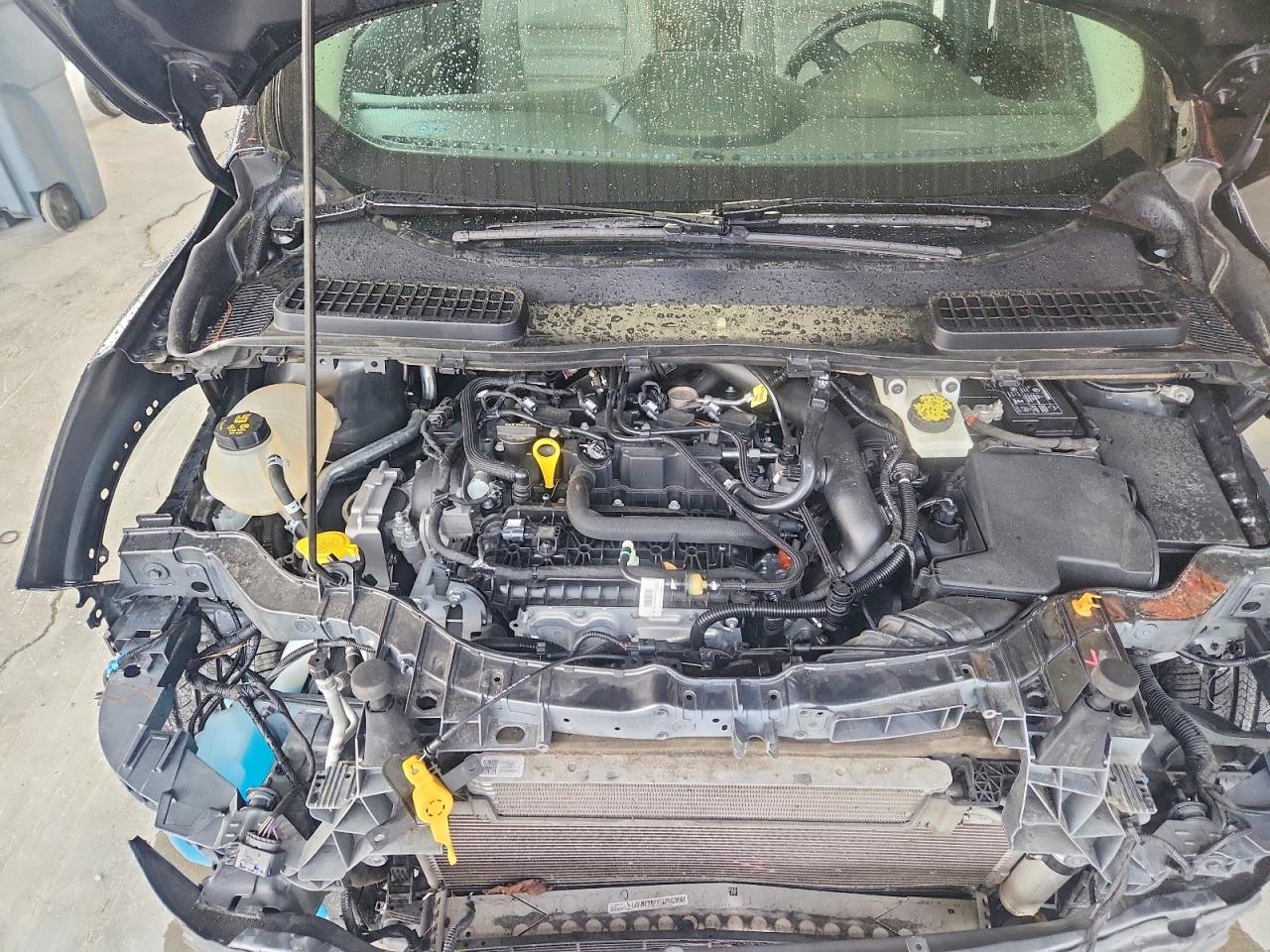 2019 FORD ESCAPE