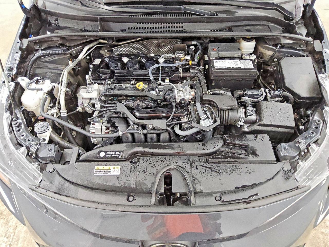 2025 TOYOTA COROLLA