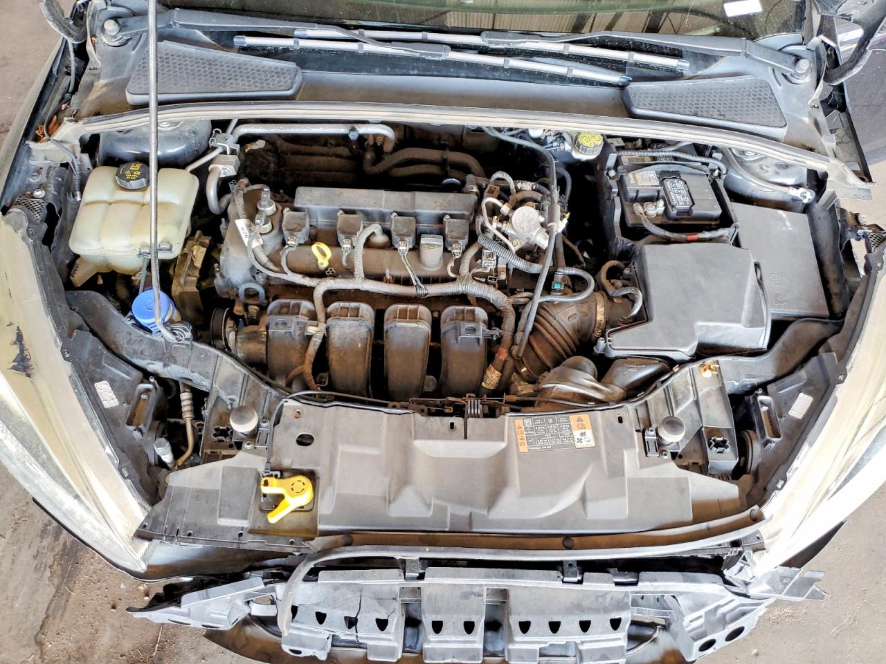 2016 FORD FOCUS