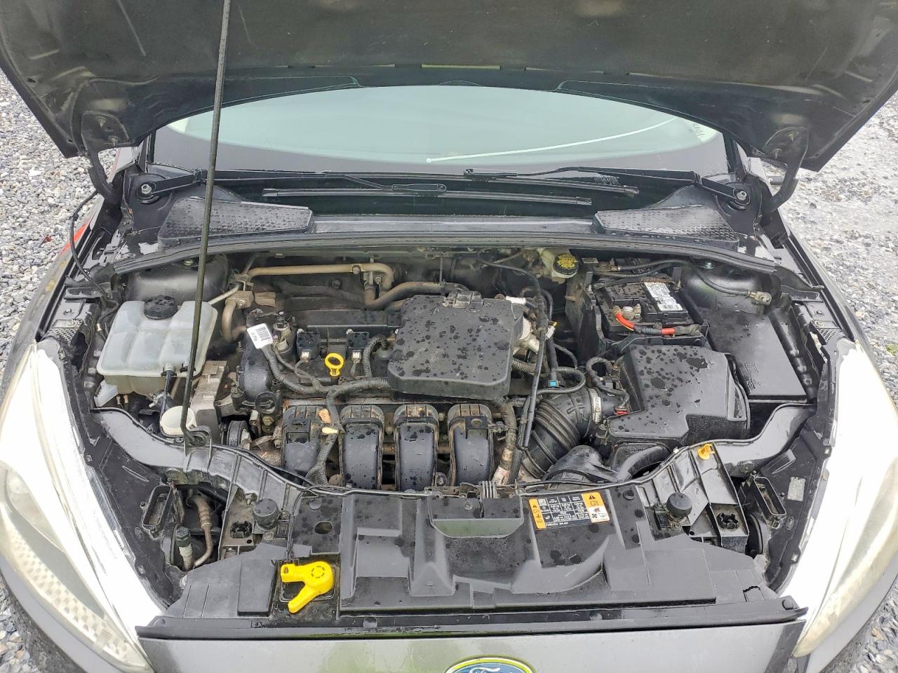 2016 FORD FOCUS