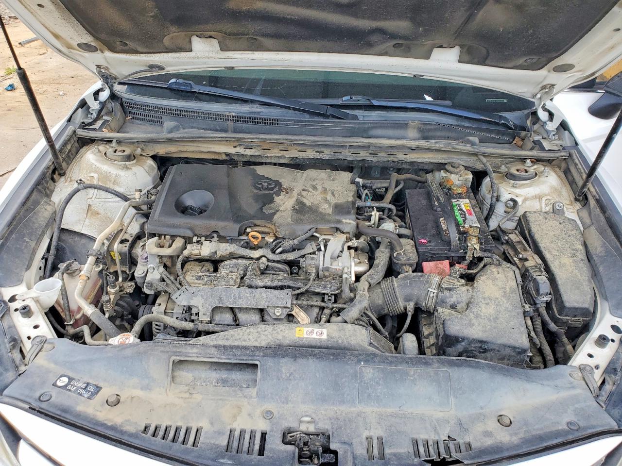 2019 TOYOTA CAMRY