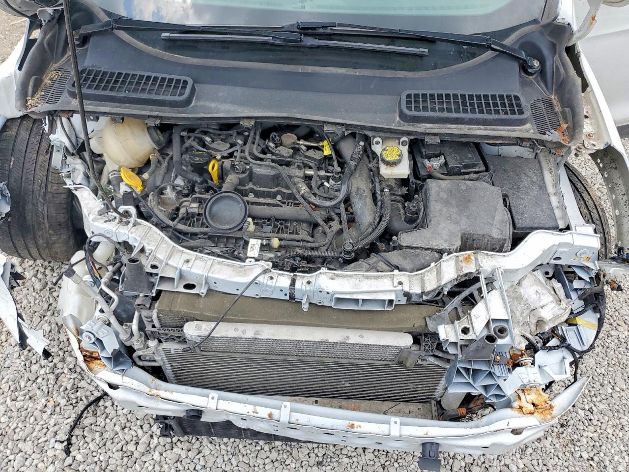 2019 FORD ESCAPE