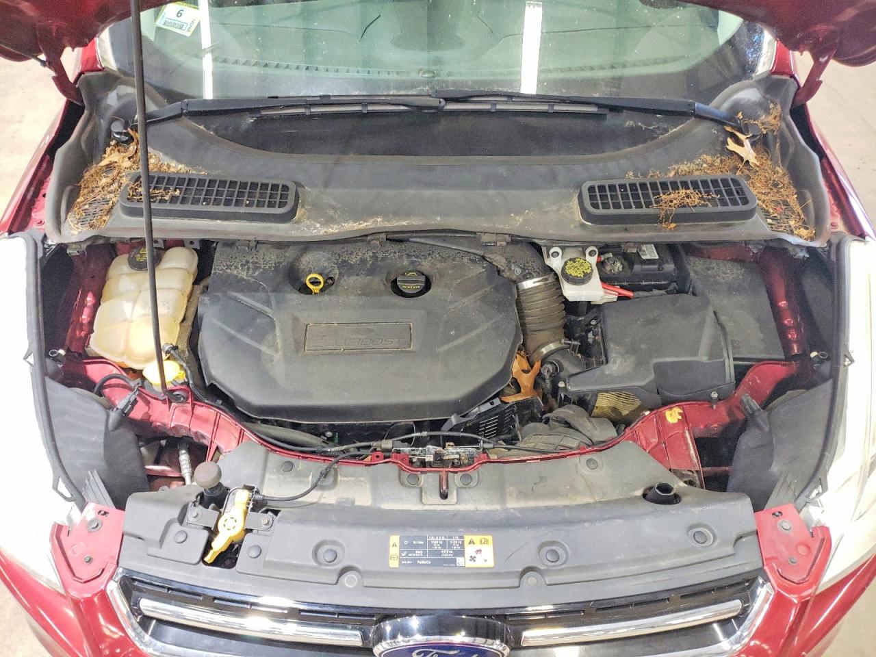 2014 FORD ESCAPE