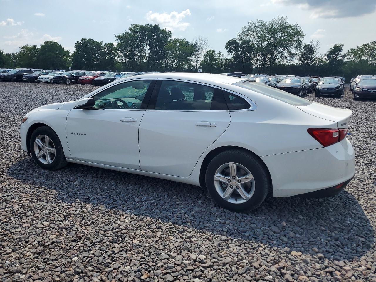 2023 CHEVROLET MALIBU