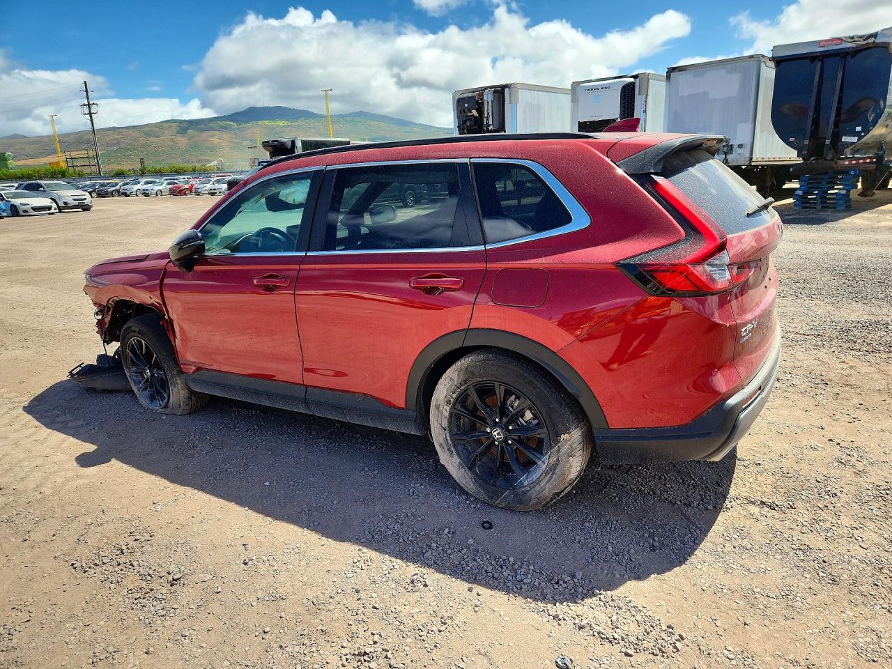 2025 HONDA CRV