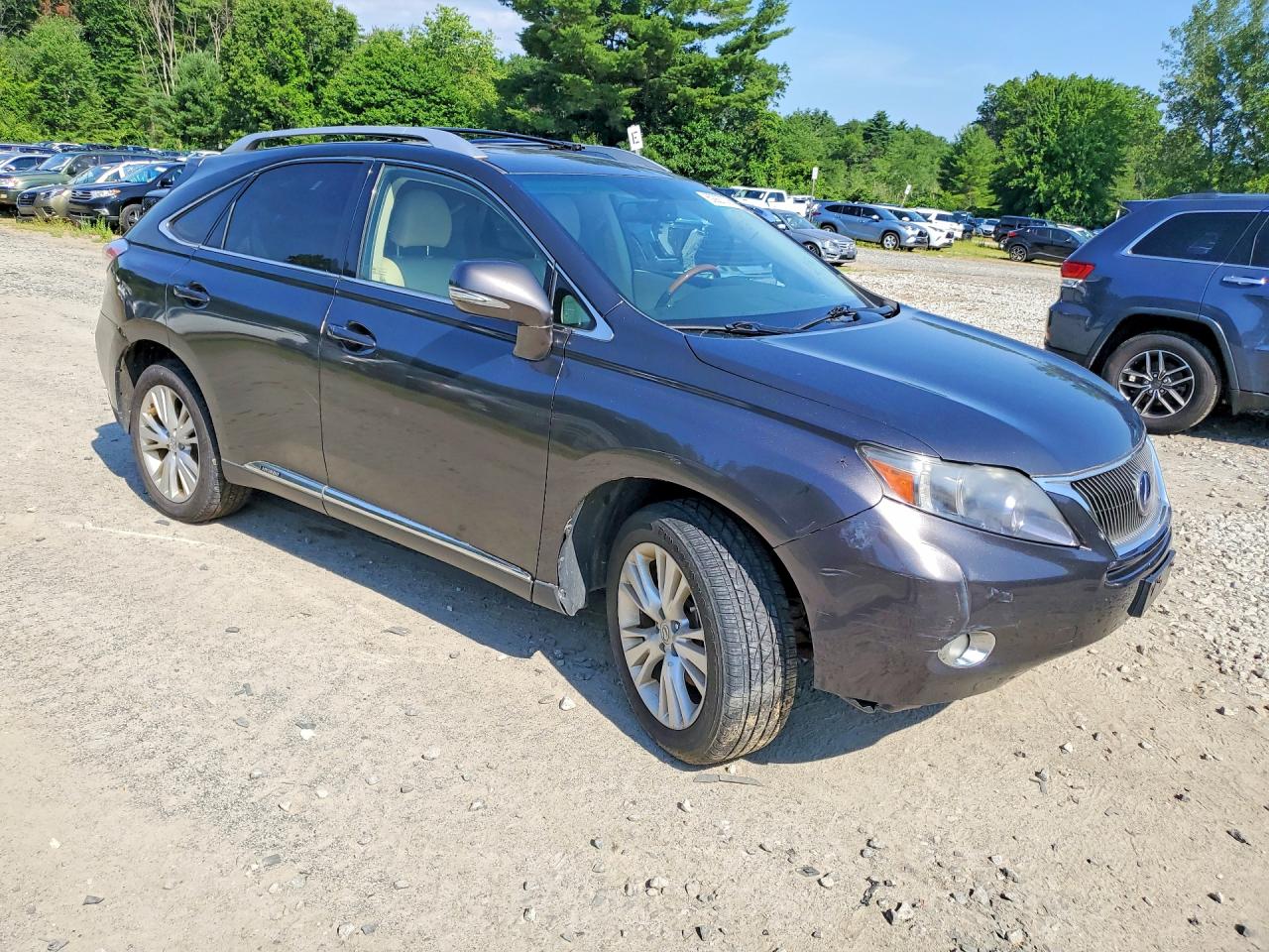 2010 LEXUS RX450