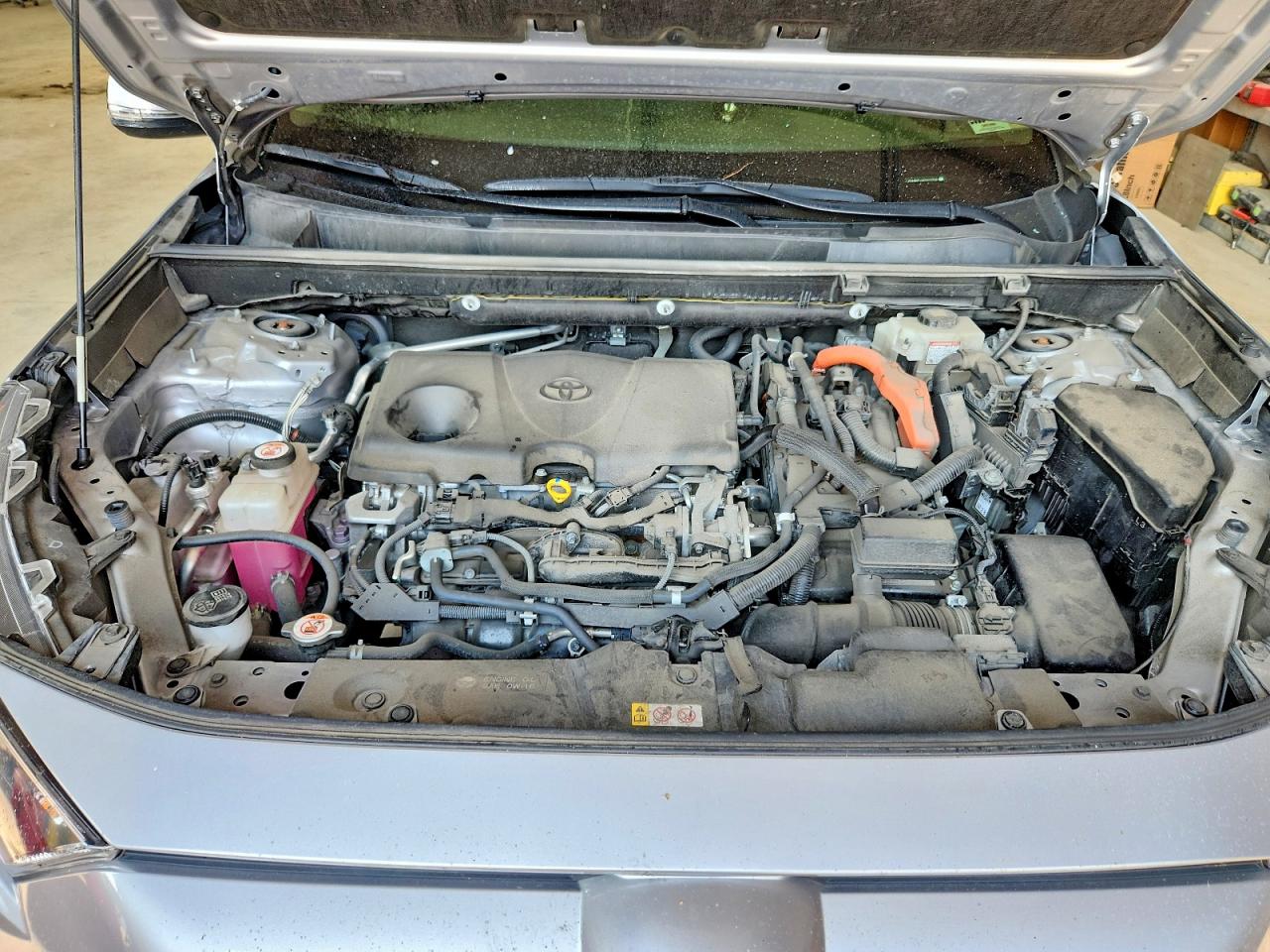2019 TOYOTA RAV4