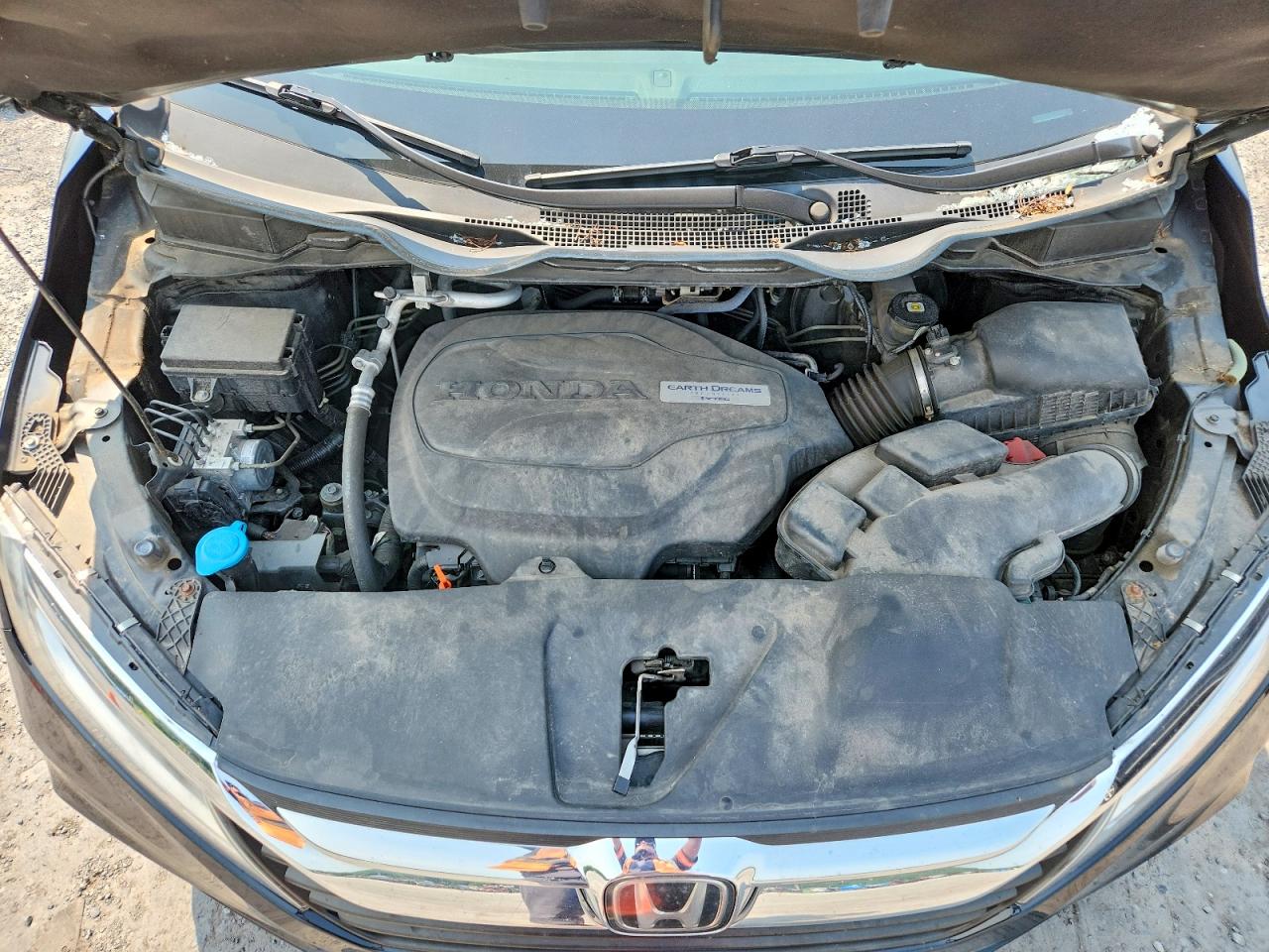 2019 HONDA ODYSSEY