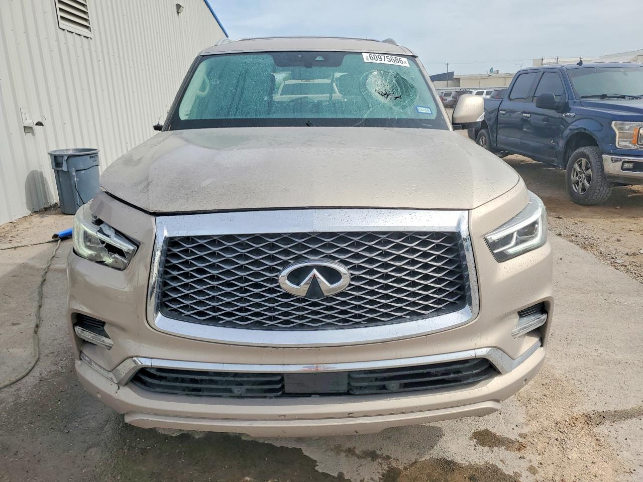 2019 INFINITI QX80