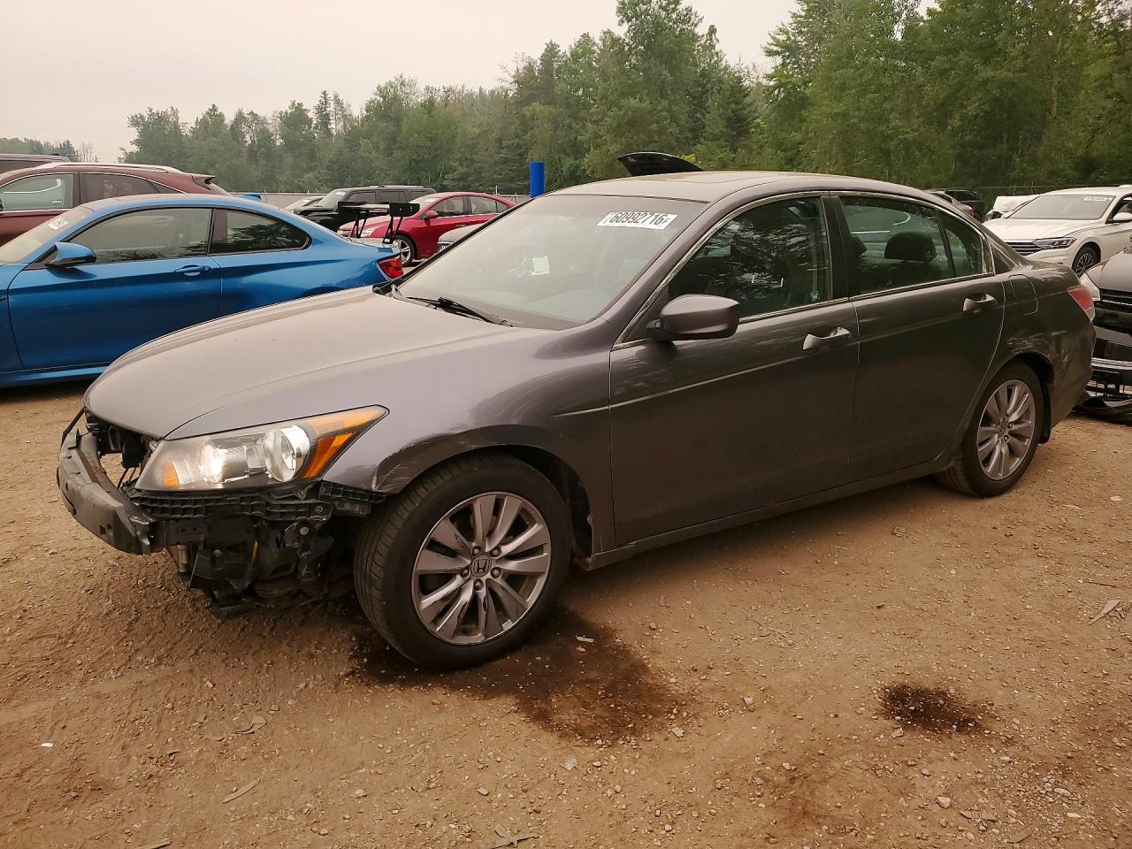 2011 HONDA ACCORD