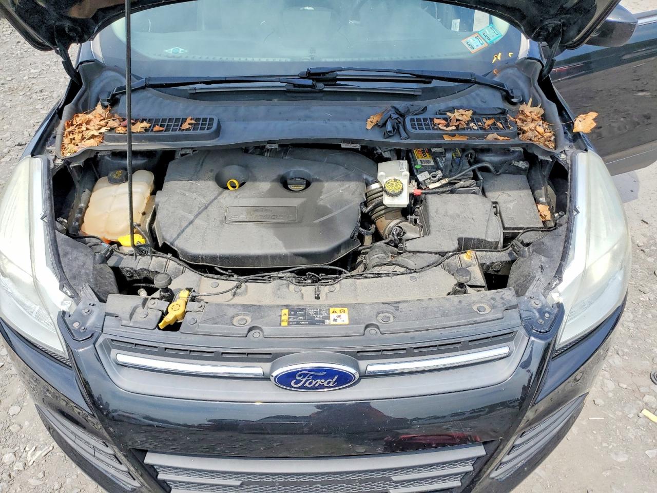 2014 FORD ESCAPE