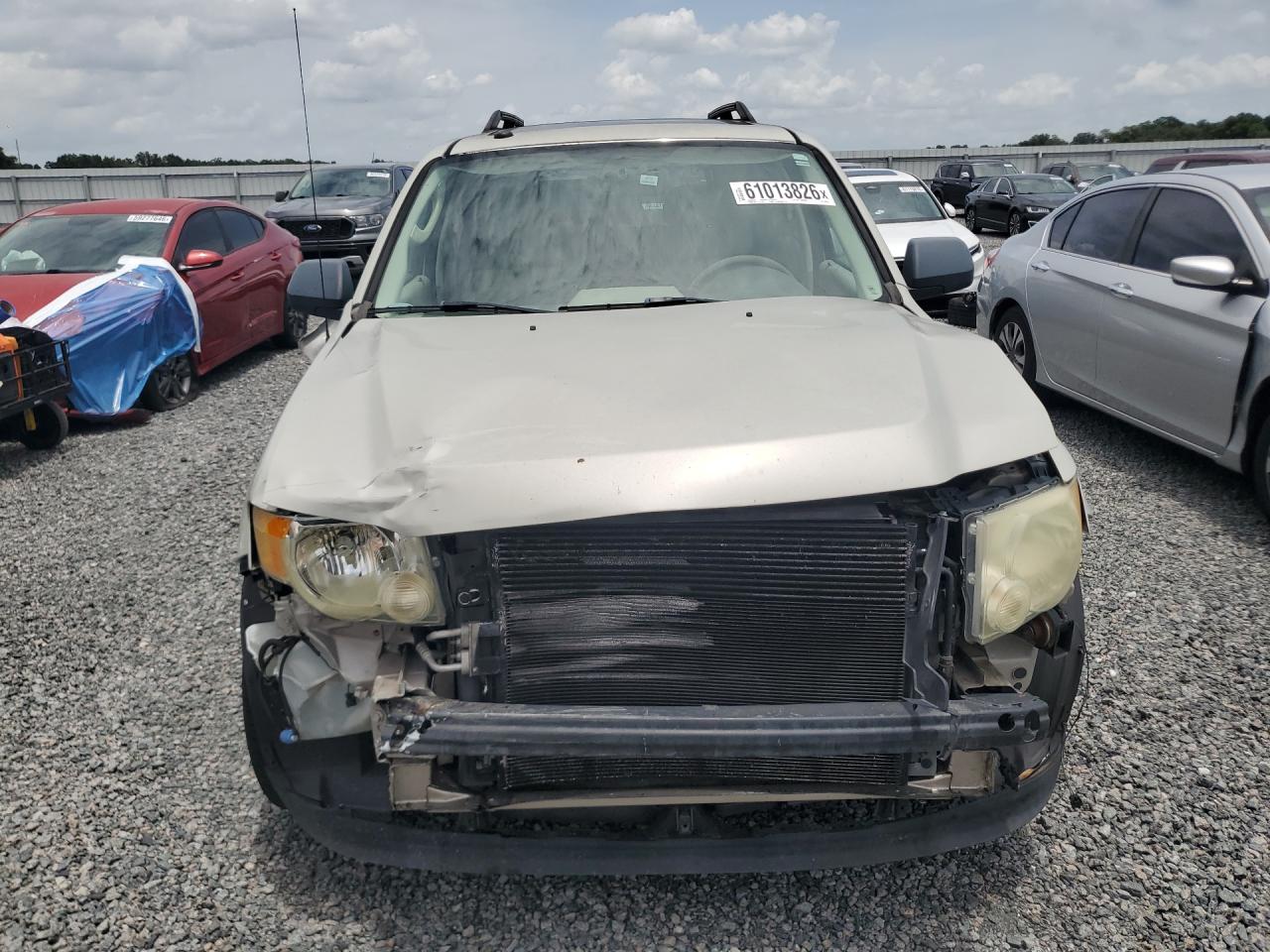 2009 FORD ESCAPE