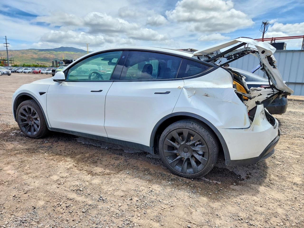 2021 TESLA MODEL Y