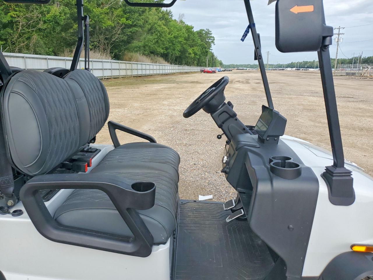 2025 DENAGO GOLF CART