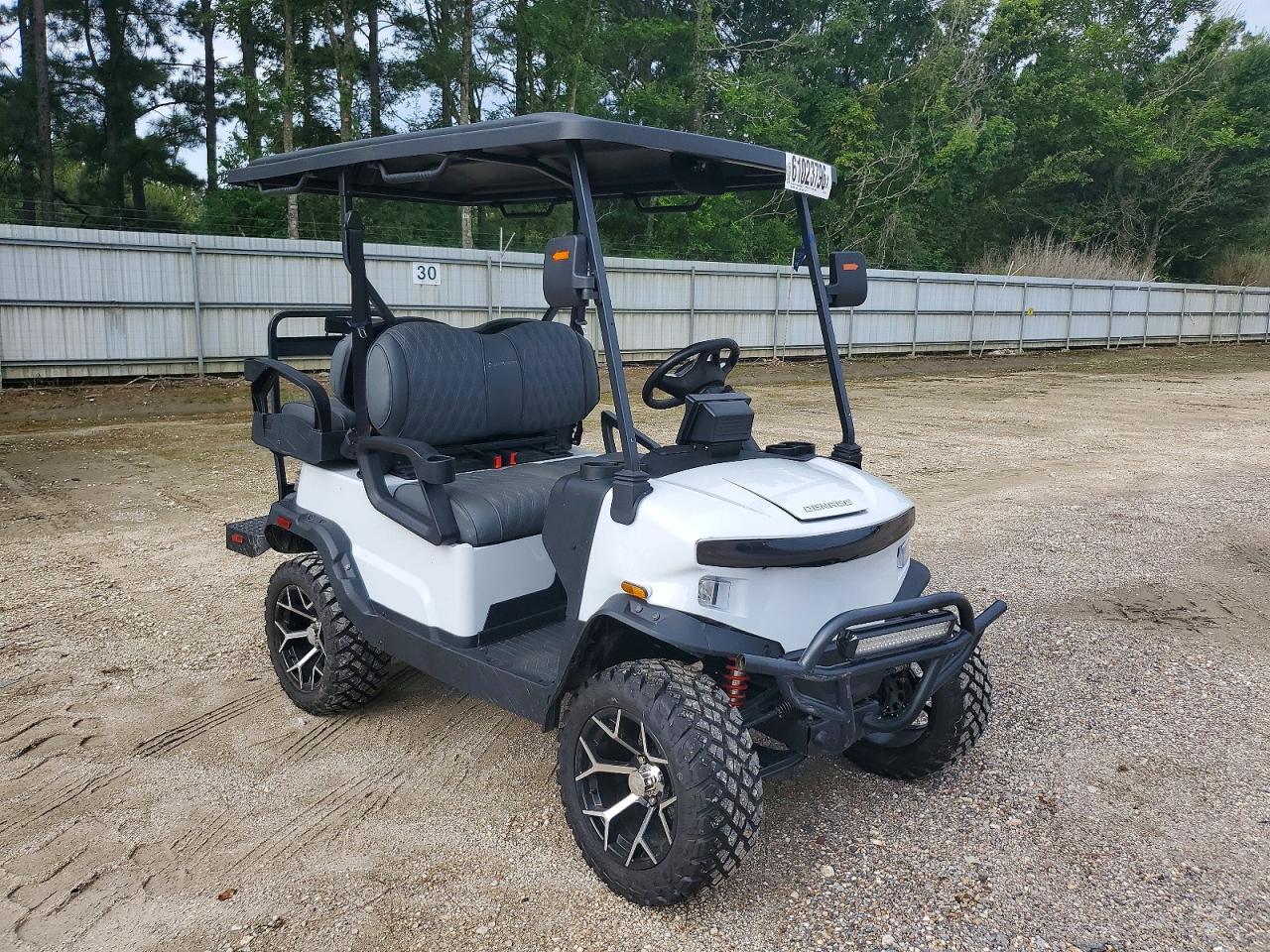 2025 DENAGO GOLF CART