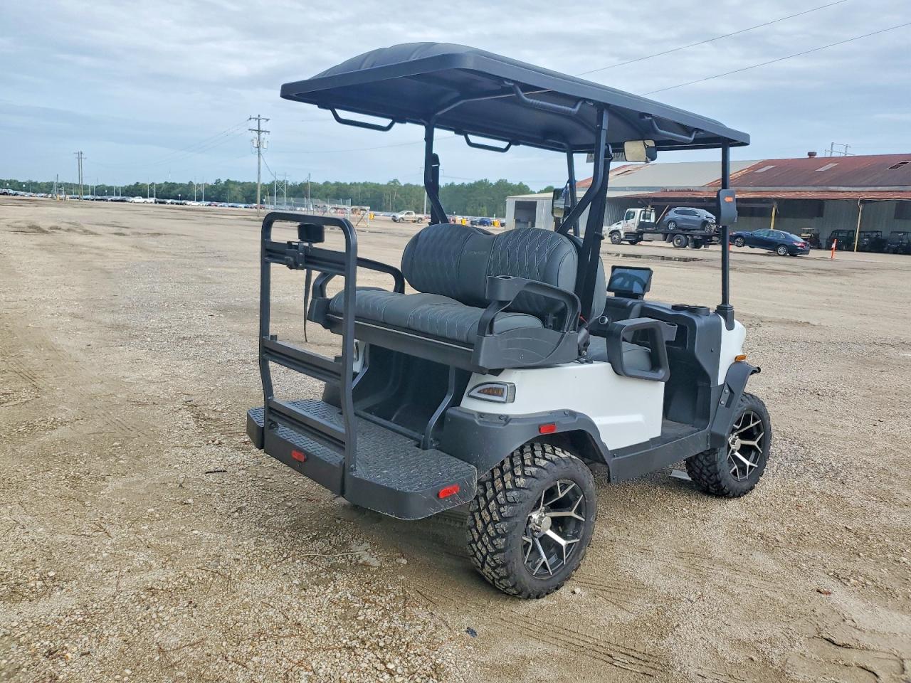 2025 DENAGO GOLF CART