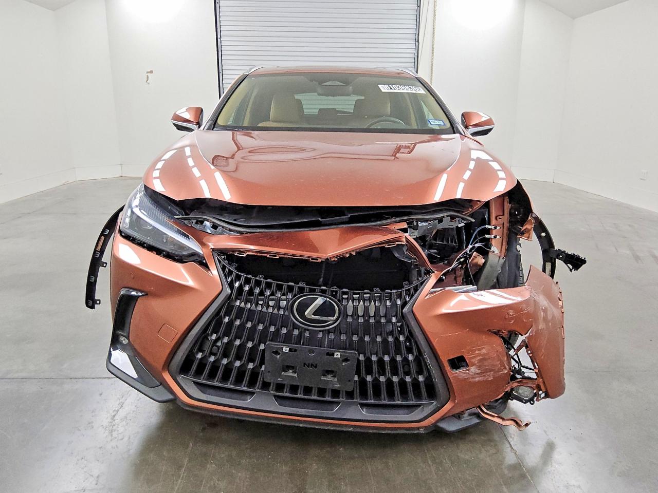 2025 LEXUS NX