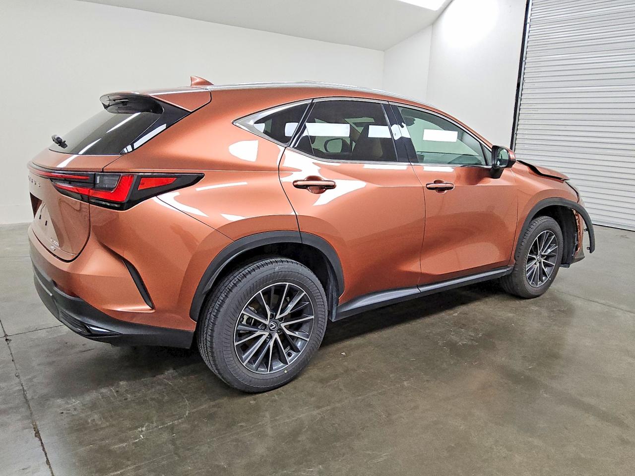 2025 LEXUS NX