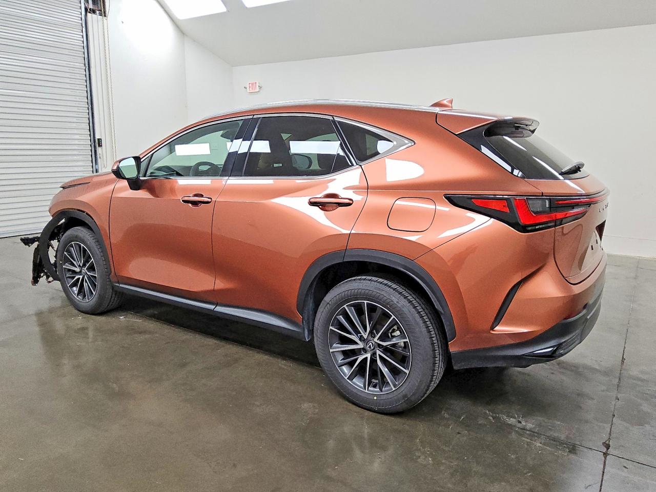 2025 LEXUS NX