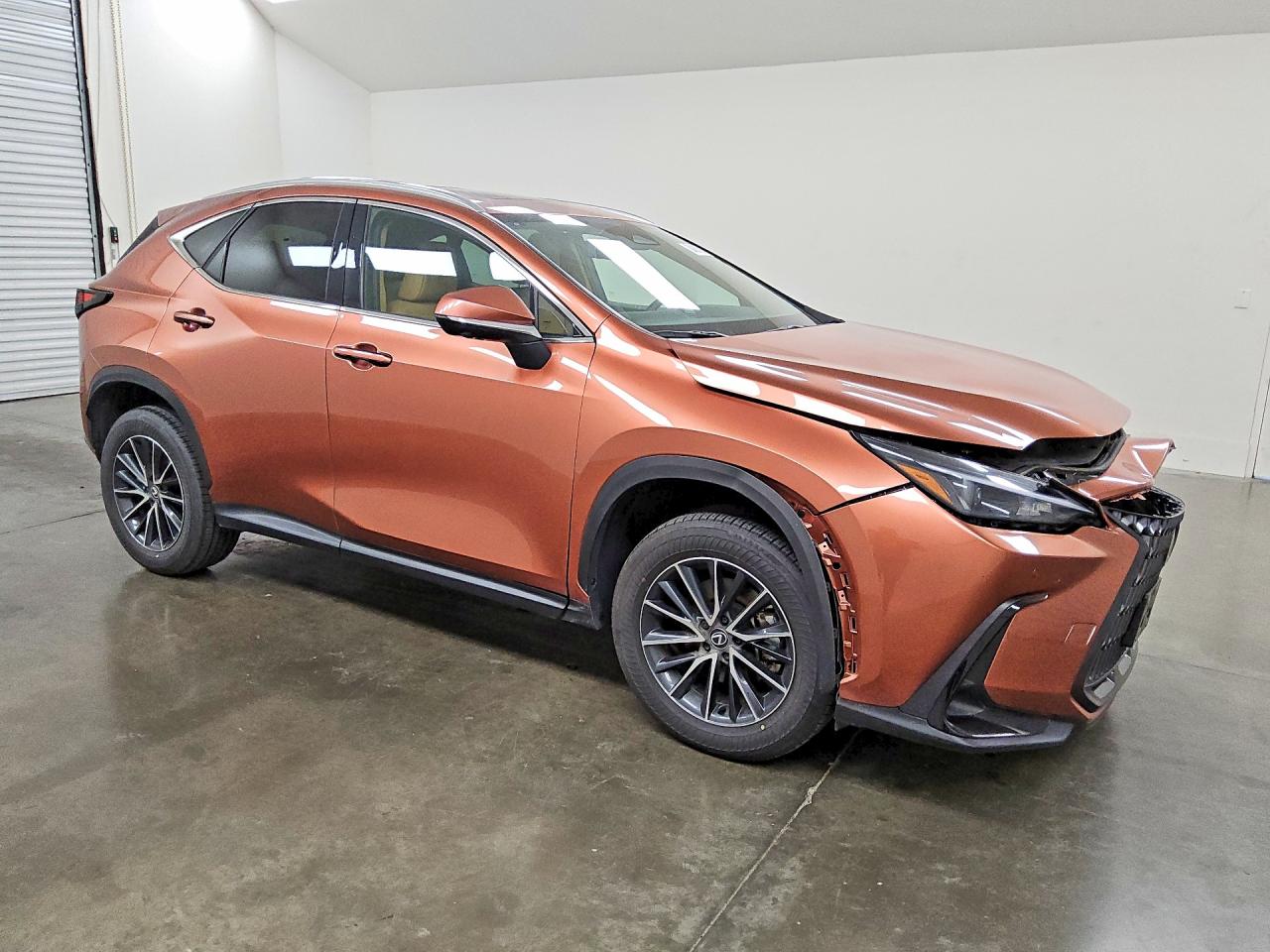 2025 LEXUS NX