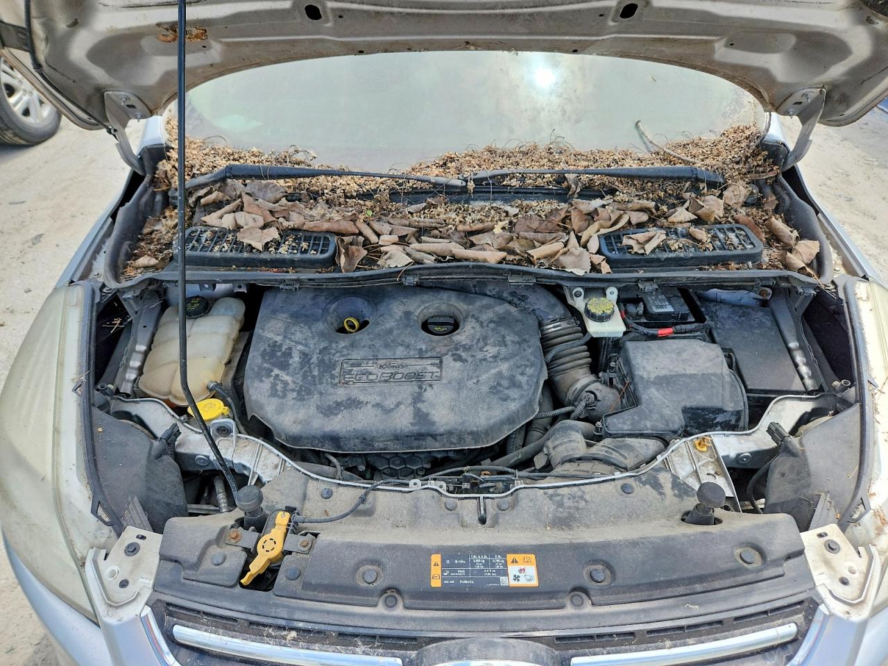 2014 FORD ESCAPE
