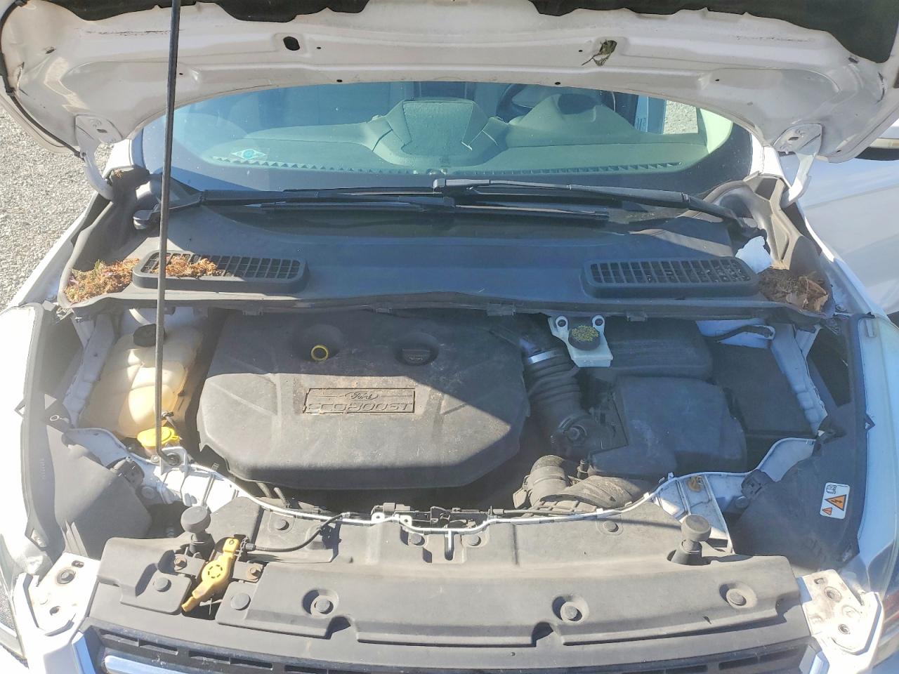 2014 FORD ESCAPE