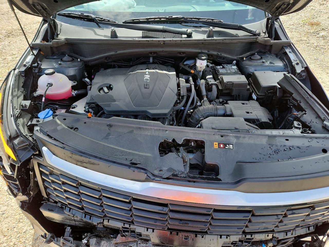 2026 KIA SPORTAGE