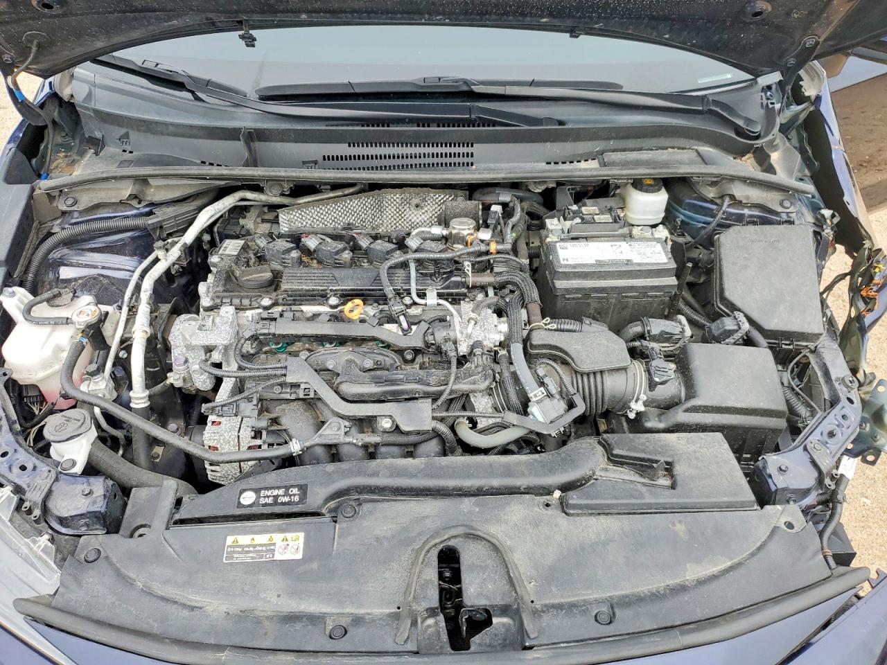 2023 TOYOTA COROLLA