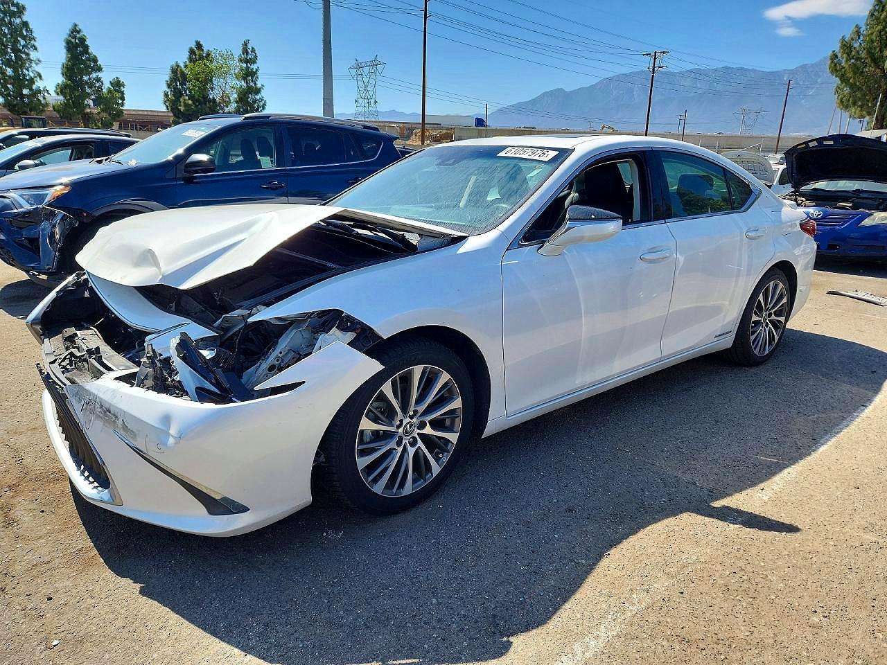 2019 LEXUS ES300