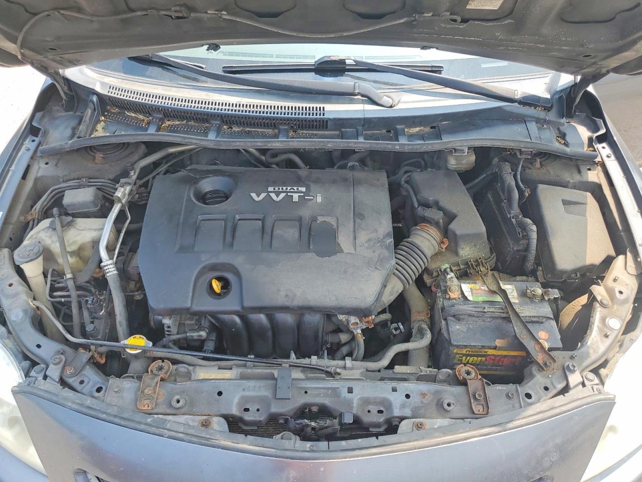 2010 TOYOTA COROLLA
