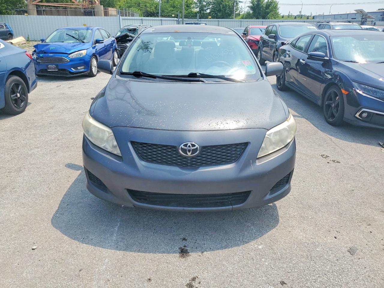 2010 TOYOTA COROLLA