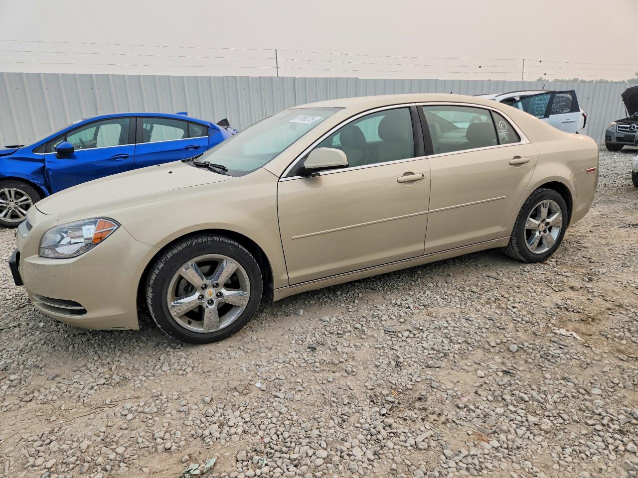 2010 CHEVROLET MALIBU