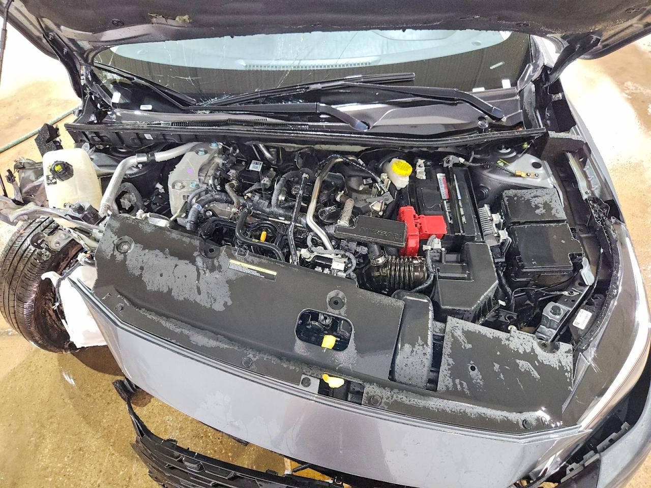 2025 NISSAN SENTRA