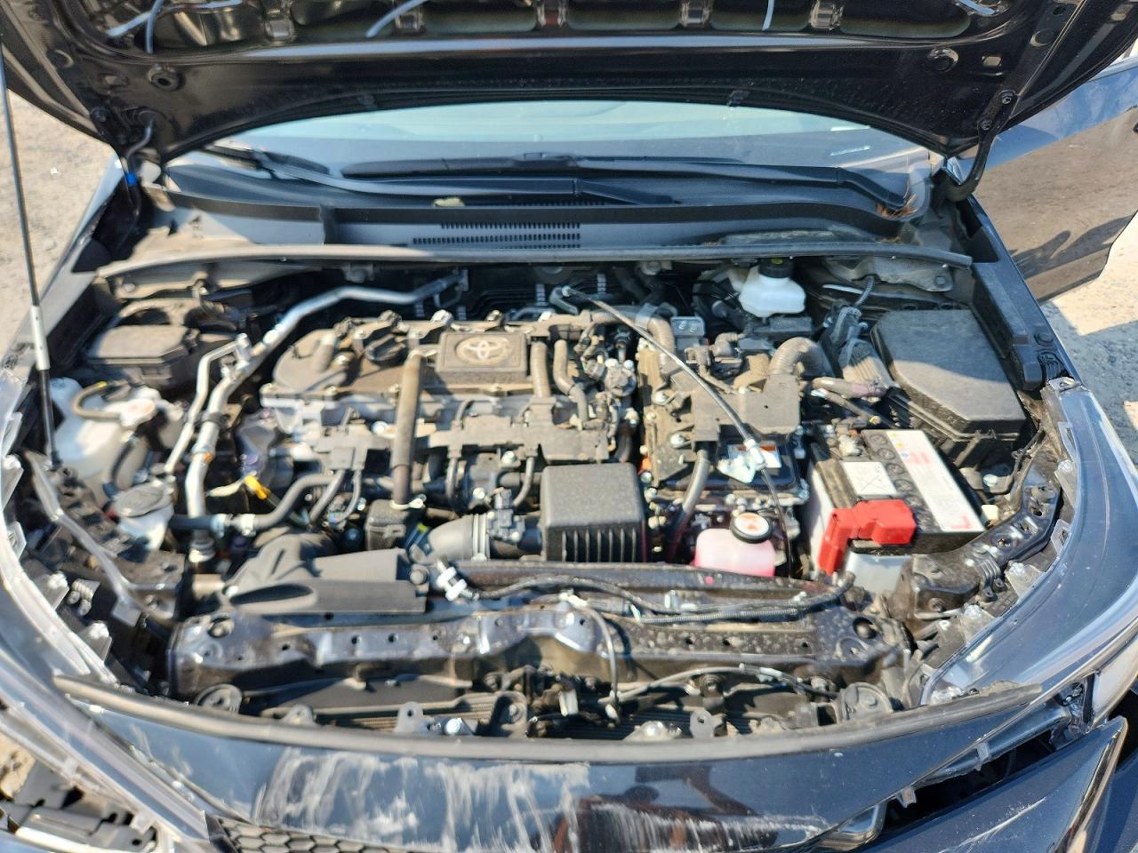 2025 TOYOTA COROLLA