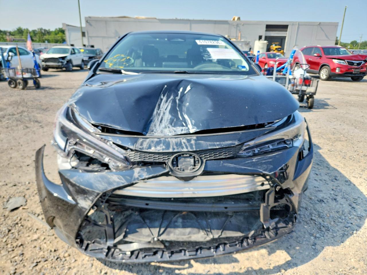 2025 TOYOTA COROLLA