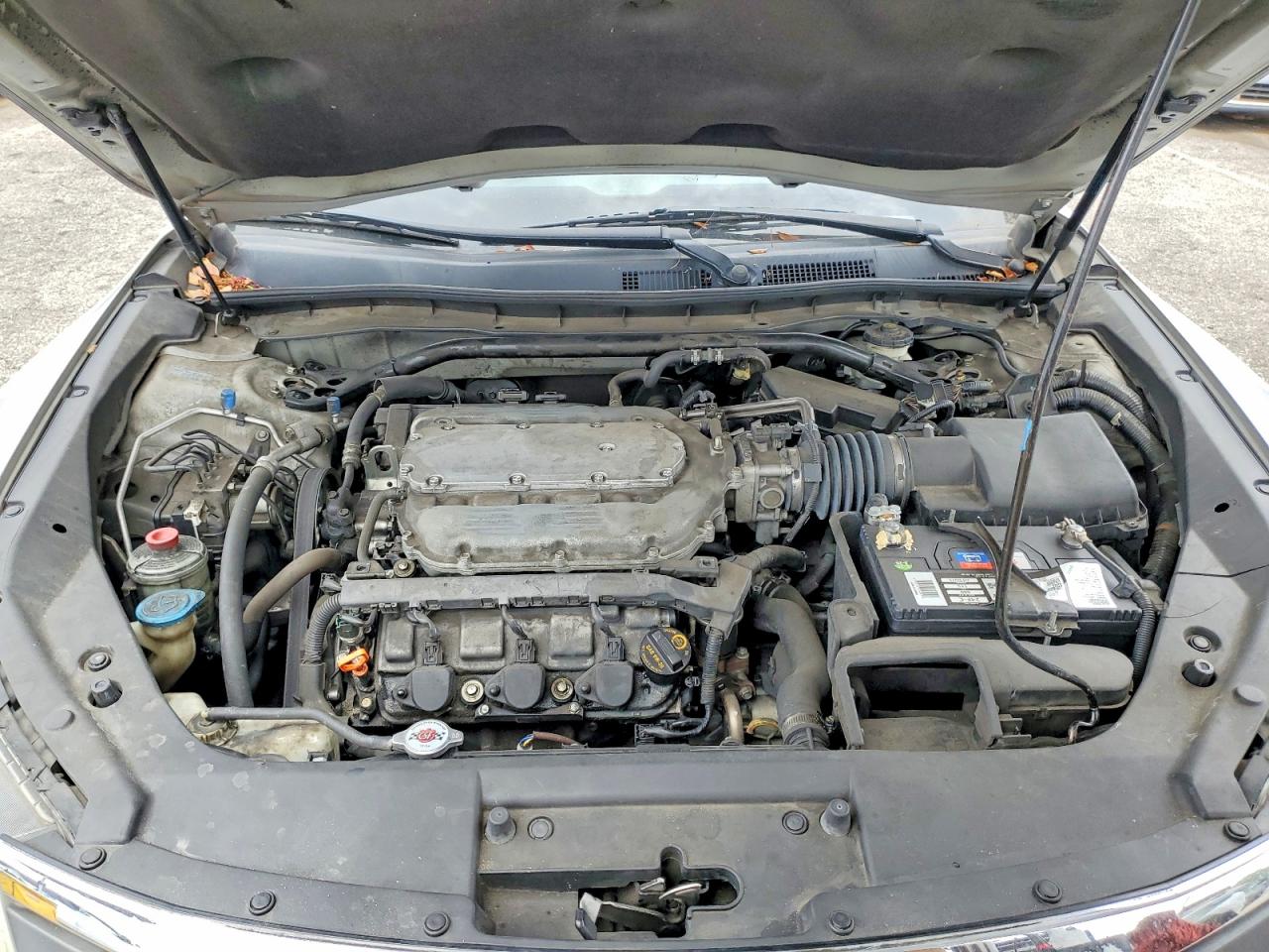 2010 HONDA ACCORD