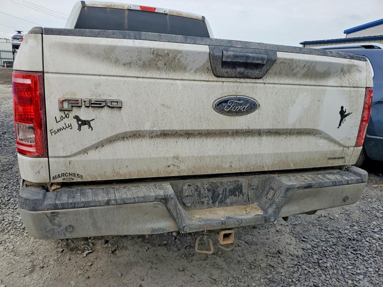 2015 FORD F150