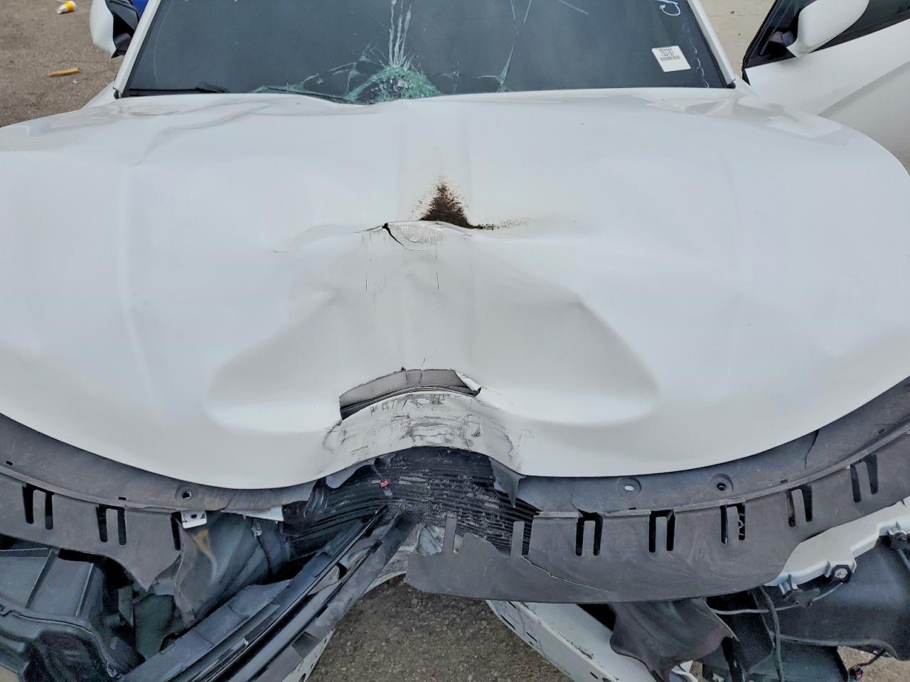 2018 DODGE CHARGER