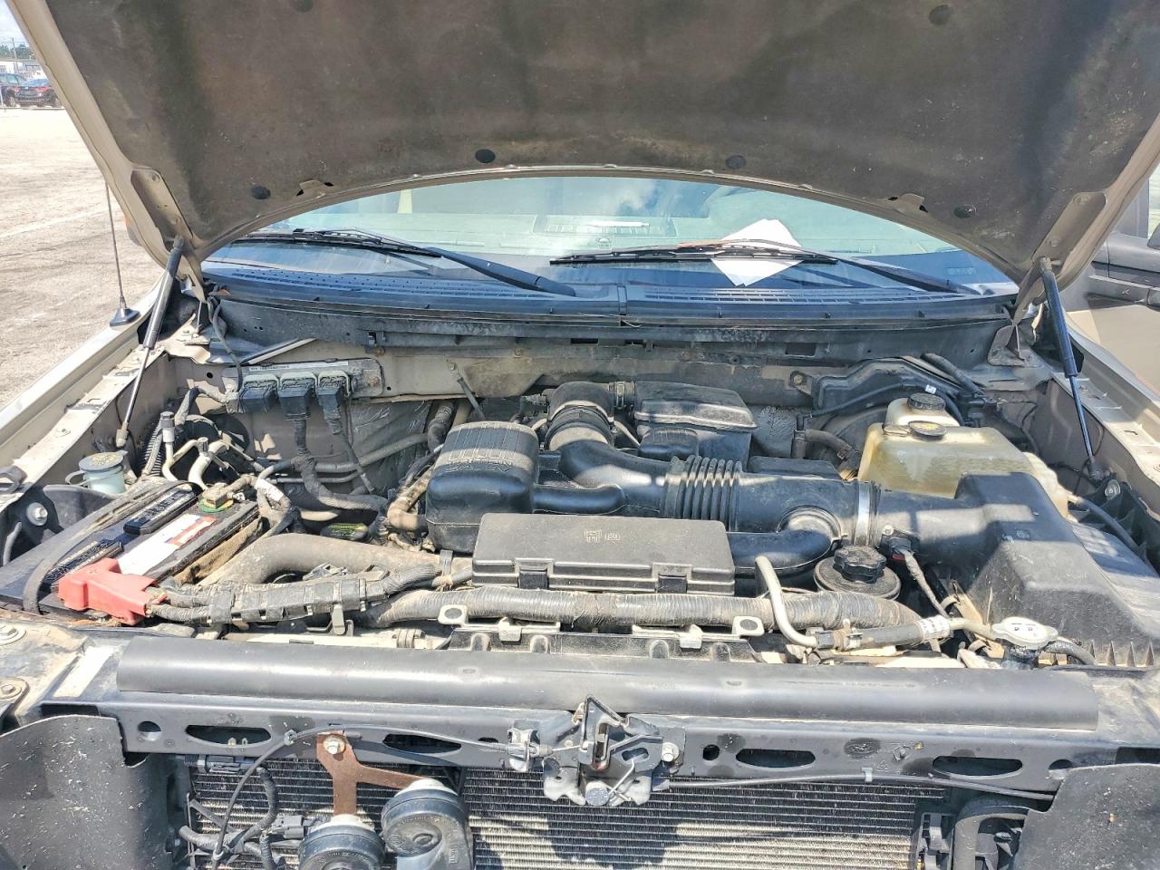 2010 FORD All Models
