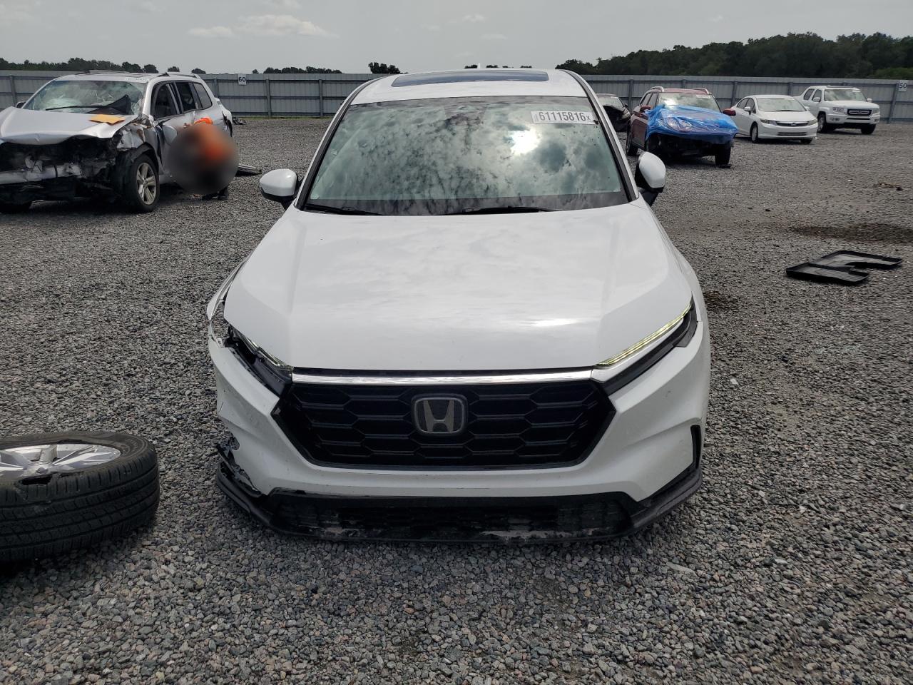 2023 HONDA CRV