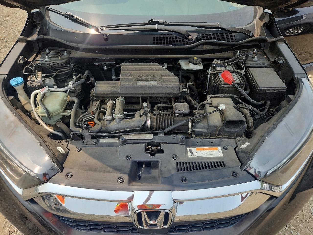 2019 HONDA CRV