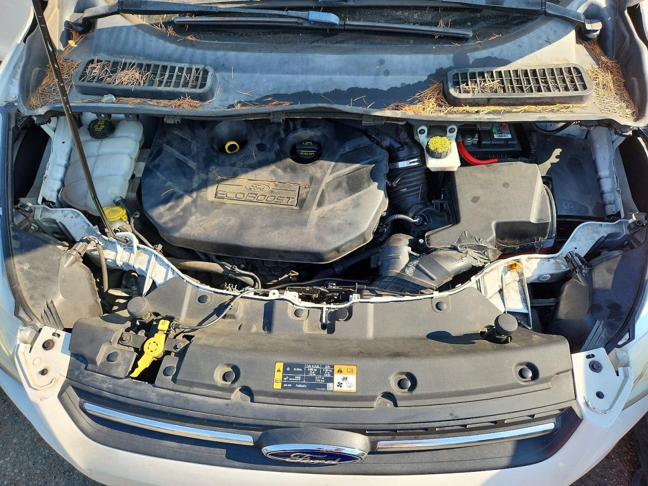 2014 FORD ESCAPE