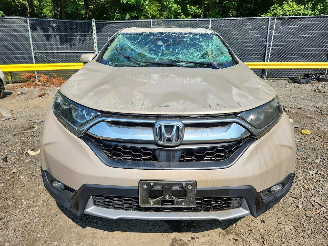 2019 HONDA CRV